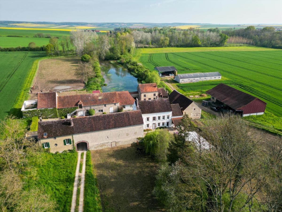 Villa Le Moulin Neuf Brienon-sur-Armançon Esterno foto