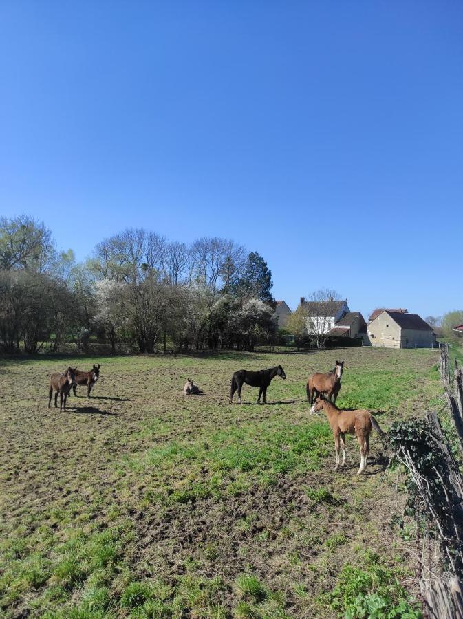 Villa Le Moulin Neuf Brienon-sur-Armançon Esterno foto